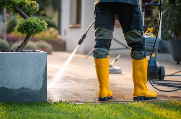 Best Pressure Washing Near Me  in San Diego, CA